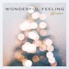 Wonderful Feeling - EP