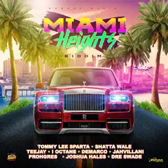 Miami Heights Riddim by Various Artists album reviews, ratings, credits