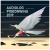 Stream & download Pigeonwing 2019 - Single