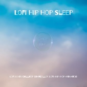 Lofi Hip Hop Sleep artwork