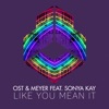 Like You Mean It (feat. Sonya Kay) - Single