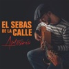 Camino, Camino by El Sebas de la Calle iTunes Track 2