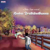 Bhanu Shankar - Neekai Brathikesthunna - Single artwork