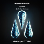 Syton (Lightform Remix) artwork