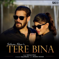 Salman Khan - Tere Bina - Single artwork