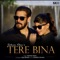 Tere Bina artwork