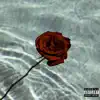 Dead Roses (feat. VNNY) - Single album lyrics, reviews, download