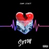 Sorry - Single