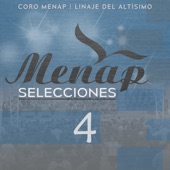 Menap Selecciones 4 artwork