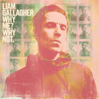 Liam Gallagher - Why Me? Why Not. (Deluxe Edition) artwork