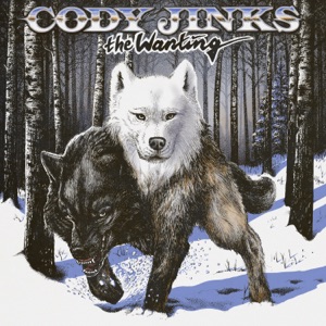 Cody Jinks - The Raven and the Dove - Line Dance Music