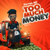 Too Much Money artwork