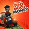 Too Much Money artwork