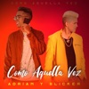 Como Aquella Vez - Single