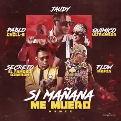 Si Mañana Me Muero (Remix) [feat. Flow Mafia & Secreto El Famoso Biberon] [Remix] Song Lyrics