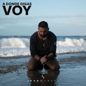 A Donde Digas Voy artwork