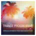 Trance Progressive Summer Session 7 (Compiled & Live Mixed by Steven Liquid & Andrew Fields) [DJ Mix] album cover