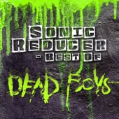 Sonic Reducer - Best Of artwork