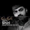 Tanhaei Nazdike - Single