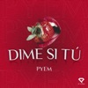 Dime Si Tu - Single