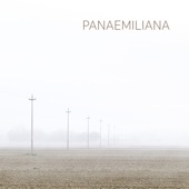 Panaemiliana artwork