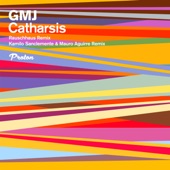 Catharsis (Rauschhaus Remix) artwork