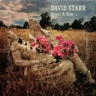 Album herunterladen David Starr - Beauty Ruin