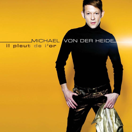 Cover artwork for Il pleut de l'or
