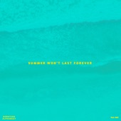 Summer Won't Last Forever (feat. OMZ) artwork