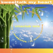 Sweettalk my Heart (BloodPop® & BURNS Vitaclub Remix) artwork