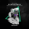Stream & download Symphonia (with Alok, Sevenn & GW) [Remix] - Single