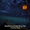 Mindfulness Delta Calm Sleep Aid, Pt. 20 - Binaural Beats lyrics