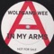 In My Arms - Wolfgang Wee lyrics