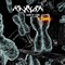 Genetic Code - Raxyor lyrics