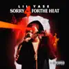 Sorry For the Heat album lyrics, reviews, download