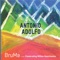 Fe Cega Faca Amolada - Antonio Adolfo lyrics