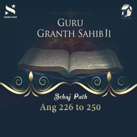 Bhai Sham Singh - Sehaj Path Sri Guru Granth Sahib Ji - Ang 226 to 250 artwork
