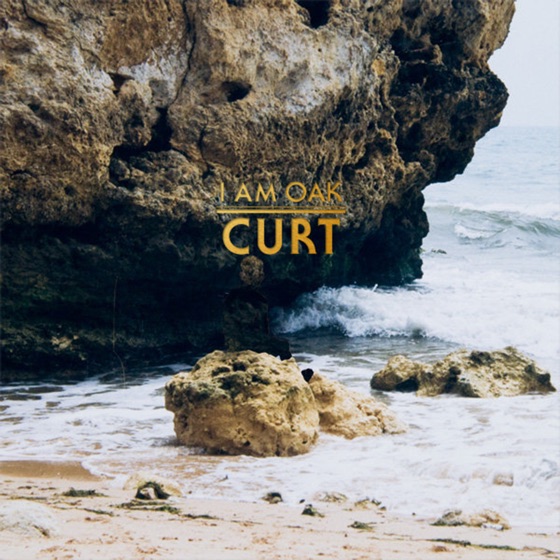 Cover artwork for Curt