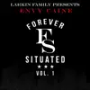 Forever Situated Vol.1 album lyrics, reviews, download