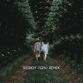 BIG BOY (SZA) Remix (Ins) artwork