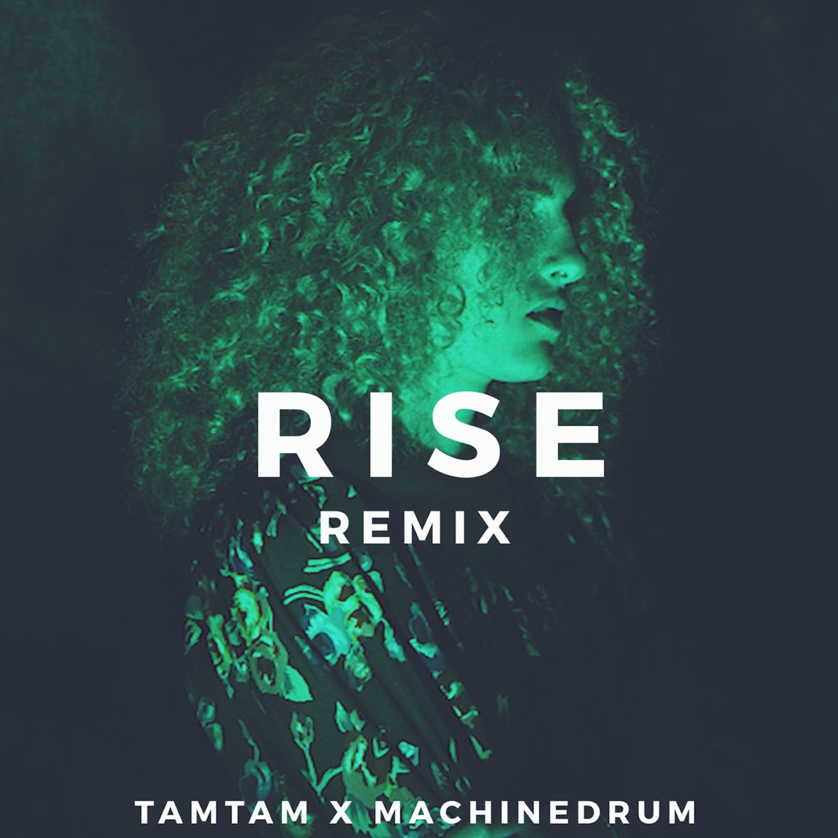 Трек the rise. Rise up. Skillet rise обложка альбома. Альбом rise. Rise up песня.