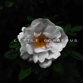 Little Gorgeous - Contrary