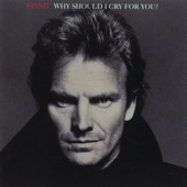 Sting - Why Should I Cry For You? - Spanish Version