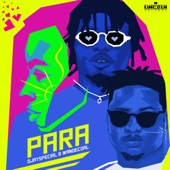 Para artwork