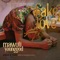 Fake Love - Mawuli Younggod lyrics