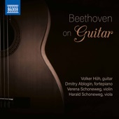 Beethoven on Guitar artwork