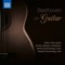 Serenade in D Major, Op. 8 (Arr. W. T. Matiegka for Guitar, Violin & Viola): Ib. Adagio artwork