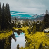 Nature & Water Sounds artwork