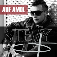 Stevy - Auf Amol artwork