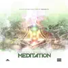 Meditation (feat. Berner & Cozmo) - Single album lyrics, reviews, download